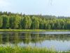 Svratka_01.jpg