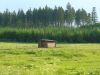 Svratka_02.jpg